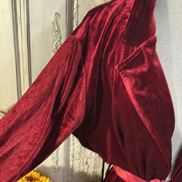 Elegant Velvet Robe in Rich Red Outer Wear or Lounging - Picture 5 of 13